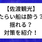 たらい船は酔う？揺れる？対策はあるの？佐渡観光をおもいきり楽しもう