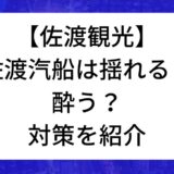 佐渡汽船は揺れる？酔う？乗船の対策を紹介
